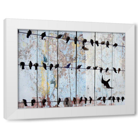 Birds on Wood IV White Modern Wood Framed Art Print by Orlov, Irena