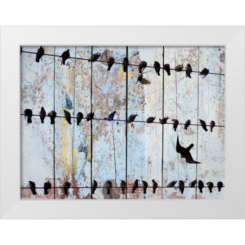 Birds on Wood IV White Modern Wood Framed Art Print by Orlov, Irena