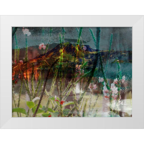 Mountain Wildflowers I White Modern Wood Framed Art Print by Jasper, Sisa