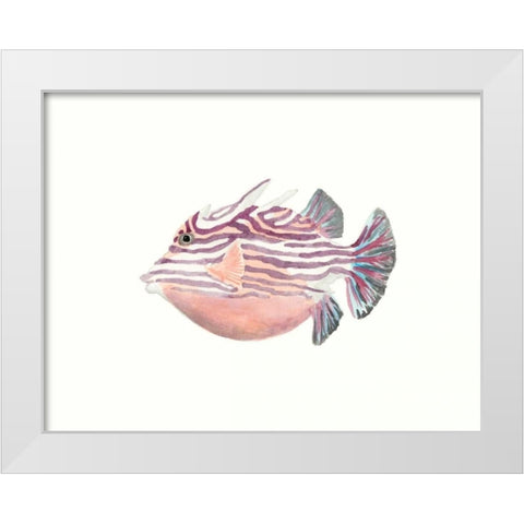 Watercolor Tropical Fish II White Modern Wood Framed Art Print by McCavitt, Naomi