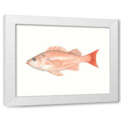 Watercolor Deep Sea Fish I White Modern Wood Framed Art Print by McCavitt, Naomi