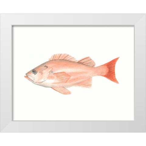 Watercolor Deep Sea Fish I White Modern Wood Framed Art Print by McCavitt, Naomi