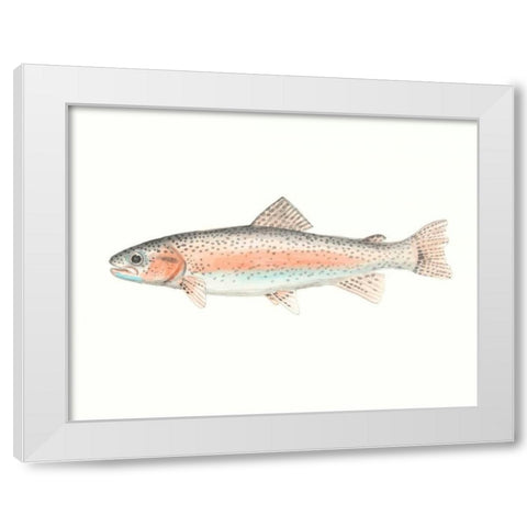 Watercolor Deep Sea Fish II White Modern Wood Framed Art Print by McCavitt, Naomi