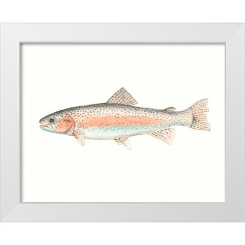 Watercolor Deep Sea Fish II White Modern Wood Framed Art Print by McCavitt, Naomi