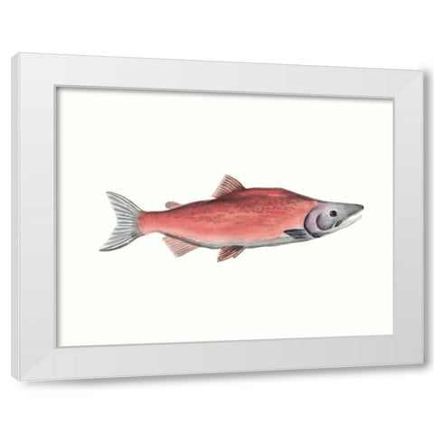 Watercolor Deep Sea Fish III White Modern Wood Framed Art Print by McCavitt, Naomi