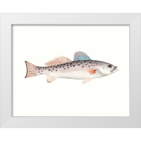 Watercolor Deep Sea Fish IV White Modern Wood Framed Art Print by McCavitt, Naomi