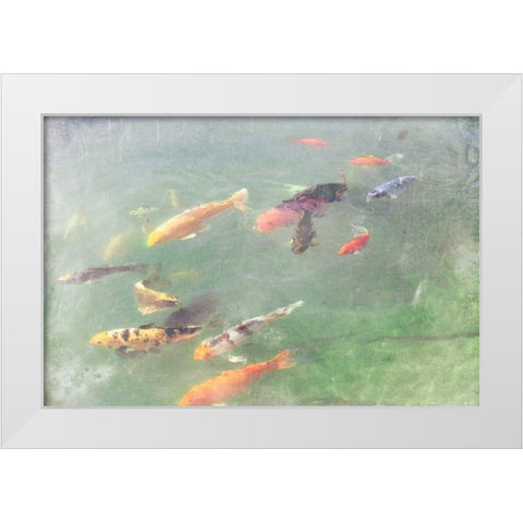 Koi Reflections I White Modern Wood Framed Art Print by Ludwig, Alicia