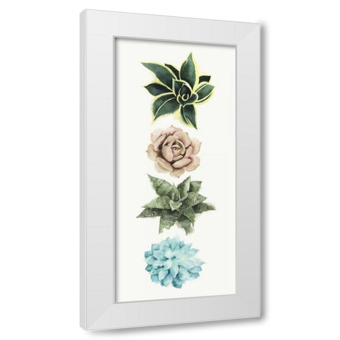 Row of Succulents I White Modern Wood Framed Art Print by Popp, Grace
