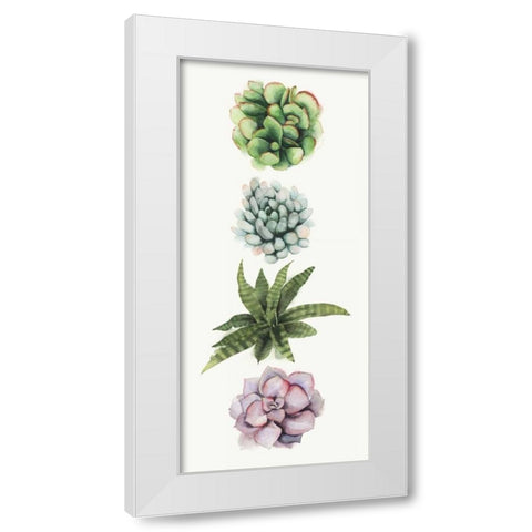 Row of Succulents II White Modern Wood Framed Art Print by Popp, Grace