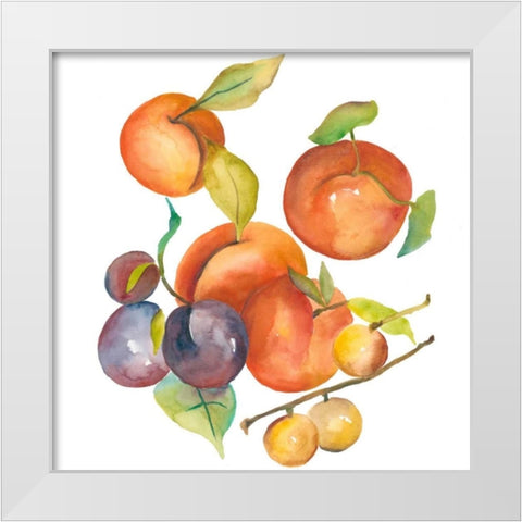 Harvest Medley I White Modern Wood Framed Art Print by Zarris, Chariklia