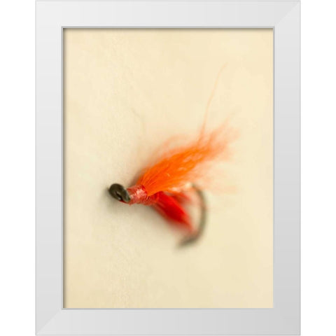 Macro Lure II White Modern Wood Framed Art Print by Stalus, Judy