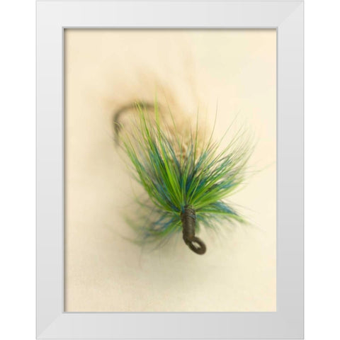 Macro Lure VI White Modern Wood Framed Art Print by Stalus, Judy