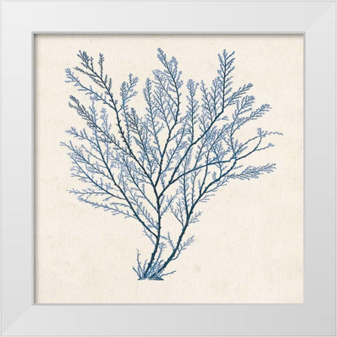 Indigo Algae II White Modern Wood Framed Art Print by Goldberger, Jennifer