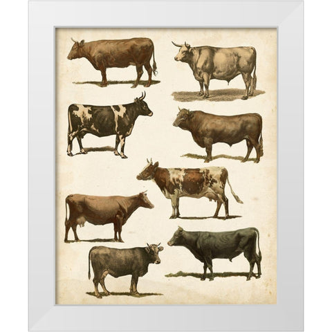 Antique Cow Chart White Modern Wood Framed Art Print by Vision Studio