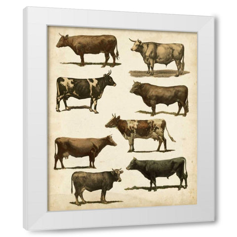Antique Cow Chart White Modern Wood Framed Art Print by Vision Studio