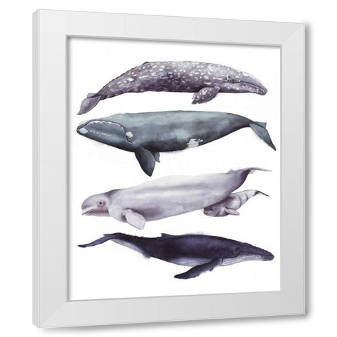 Whale Stack I White Modern Wood Framed Art Print by Popp, Grace