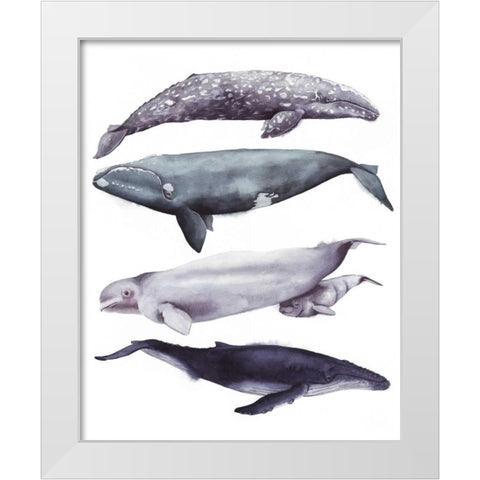 Whale Stack I White Modern Wood Framed Art Print by Popp, Grace