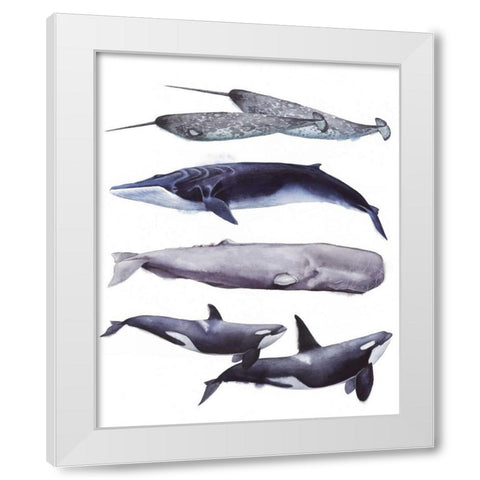 Whale Stack II White Modern Wood Framed Art Print by Popp, Grace