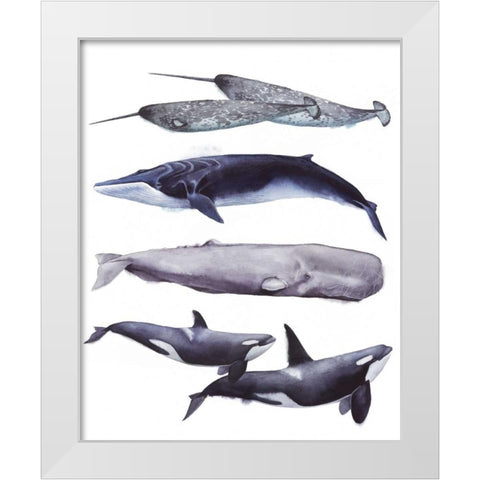 Whale Stack II White Modern Wood Framed Art Print by Popp, Grace