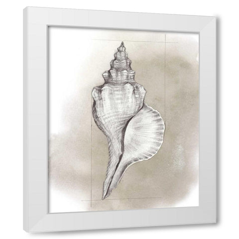 Shell Diagram I White Modern Wood Framed Art Print by Popp, Grace