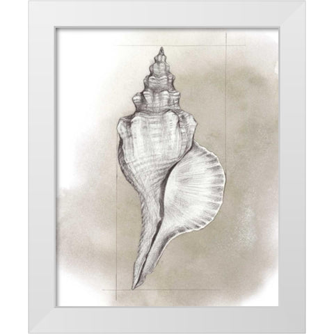 Shell Diagram I White Modern Wood Framed Art Print by Popp, Grace