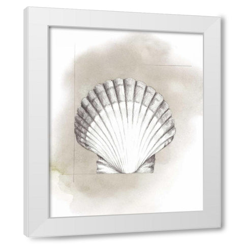 Shell Diagram II White Modern Wood Framed Art Print by Popp, Grace