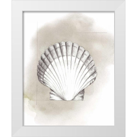 Shell Diagram II White Modern Wood Framed Art Print by Popp, Grace