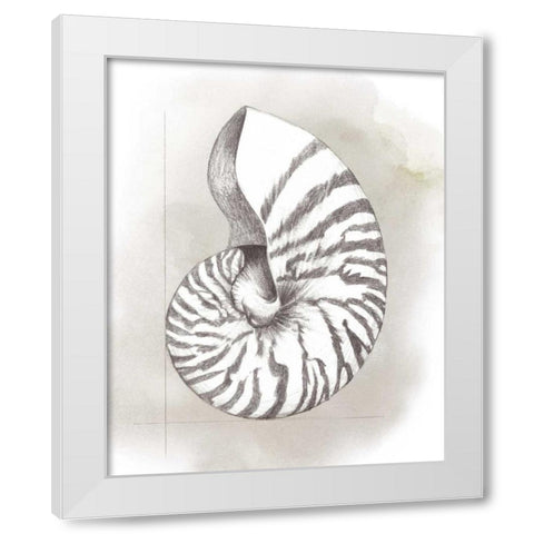 Shell Diagram III White Modern Wood Framed Art Print by Popp, Grace