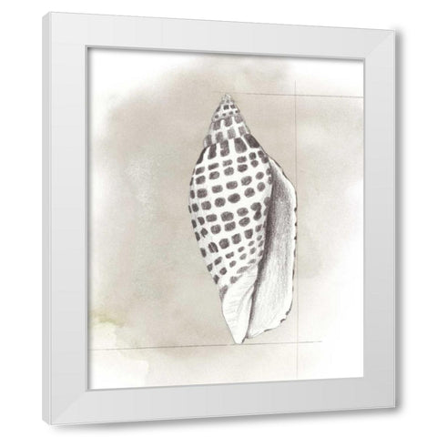 Shell Diagram IV White Modern Wood Framed Art Print by Popp, Grace