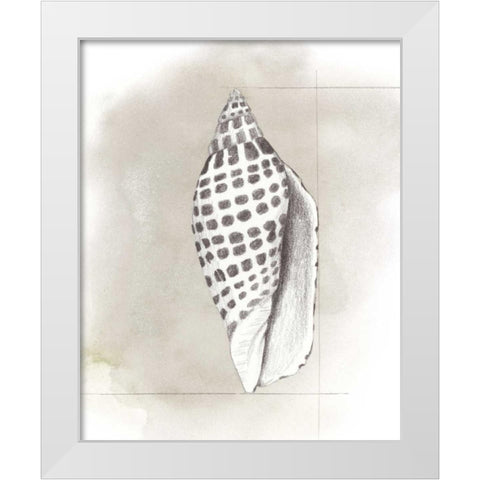 Shell Diagram IV White Modern Wood Framed Art Print by Popp, Grace