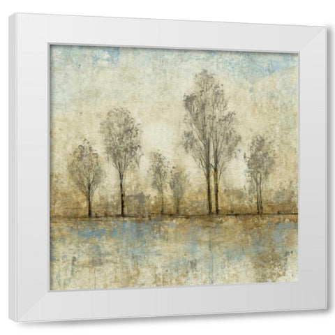 Quiet Nature III White Modern Wood Framed Art Print by OToole, Tim