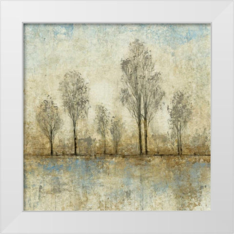 Quiet Nature III White Modern Wood Framed Art Print by OToole, Tim