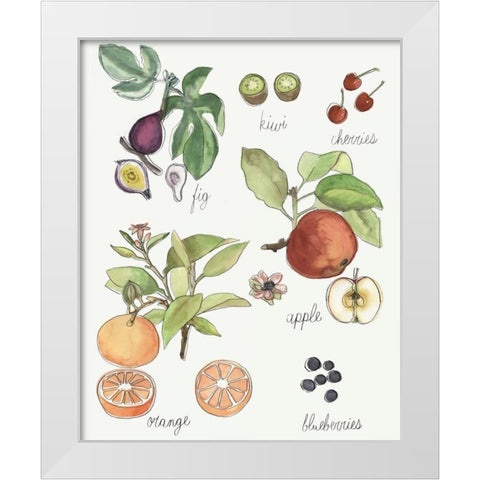 Fruit Medley I White Modern Wood Framed Art Print by McCavitt, Naomi
