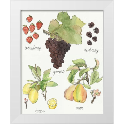 Fruit Medley II White Modern Wood Framed Art Print by McCavitt, Naomi