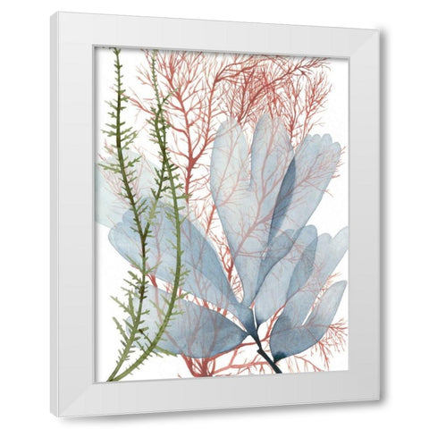 Seaweed Flow I White Modern Wood Framed Art Print by Popp, Grace