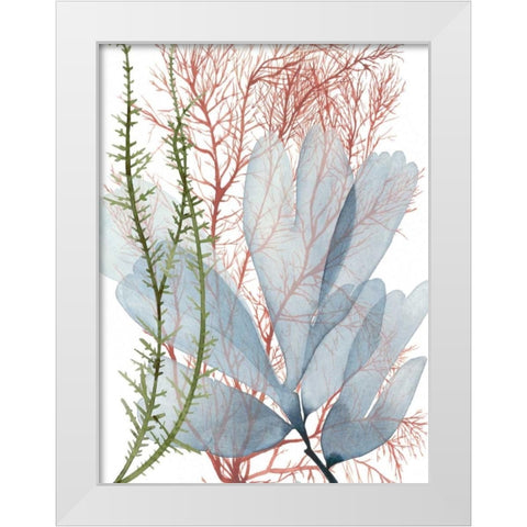 Seaweed Flow I White Modern Wood Framed Art Print by Popp, Grace