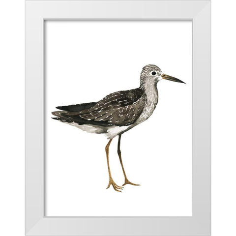 Sea Bird III White Modern Wood Framed Art Print by Popp, Grace