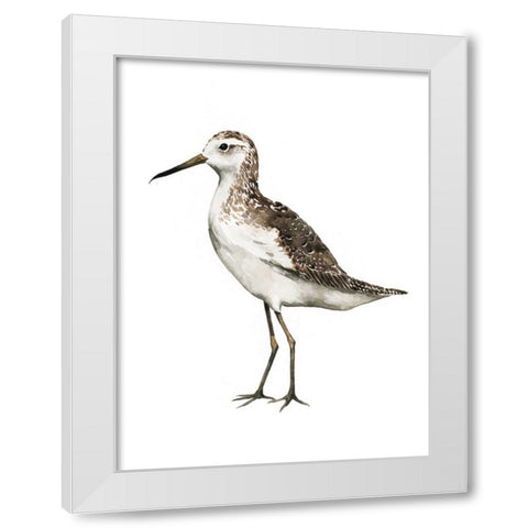 Sea Bird VI White Modern Wood Framed Art Print by Popp, Grace