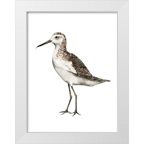 Sea Bird VI White Modern Wood Framed Art Print by Popp, Grace
