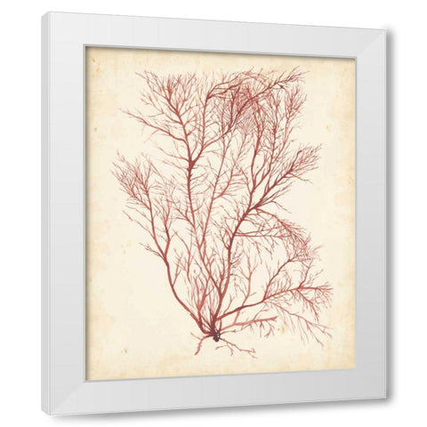 Watercolor Sea Grass I White Modern Wood Framed Art Print by Popp, Grace