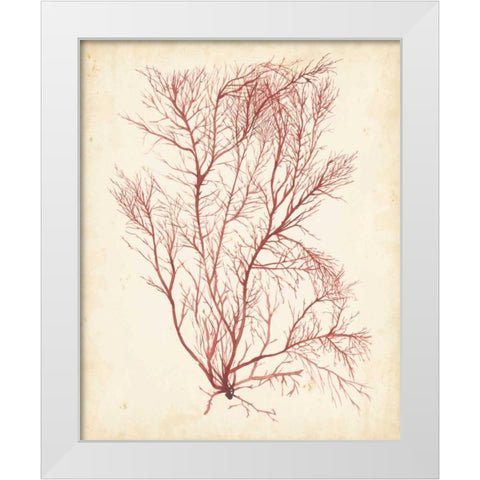 Watercolor Sea Grass I White Modern Wood Framed Art Print by Popp, Grace