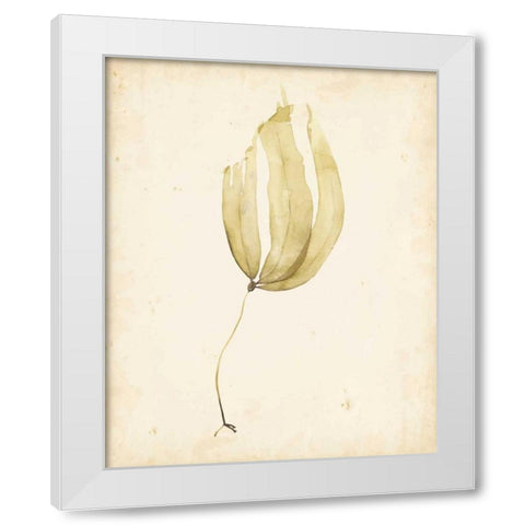 Watercolor Sea Grass III White Modern Wood Framed Art Print by Popp, Grace