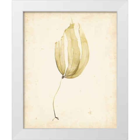 Watercolor Sea Grass III White Modern Wood Framed Art Print by Popp, Grace