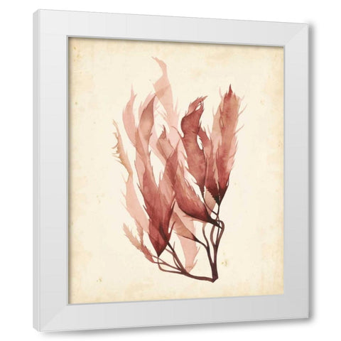 Watercolor Sea Grass IV White Modern Wood Framed Art Print by Popp, Grace