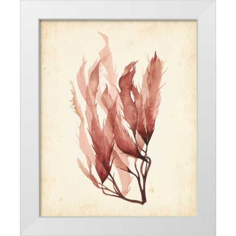 Watercolor Sea Grass IV White Modern Wood Framed Art Print by Popp, Grace