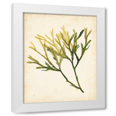 Watercolor Sea Grass V White Modern Wood Framed Art Print by Popp, Grace