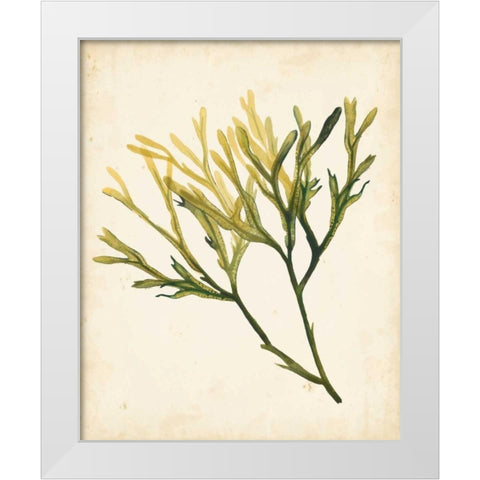 Watercolor Sea Grass V White Modern Wood Framed Art Print by Popp, Grace