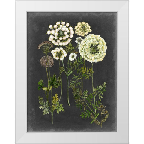 Bookplate Floral II White Modern Wood Framed Art Print by McCavitt, Naomi