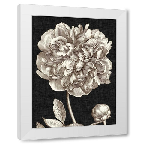 Dramatic Peony I White Modern Wood Framed Art Print by Vision Studio