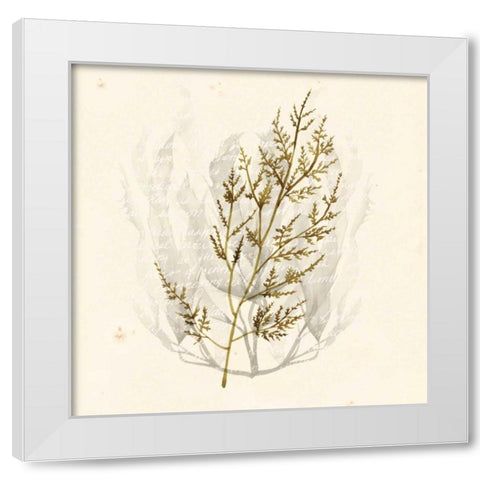 Vivid Algae I White Modern Wood Framed Art Print by Popp, Grace